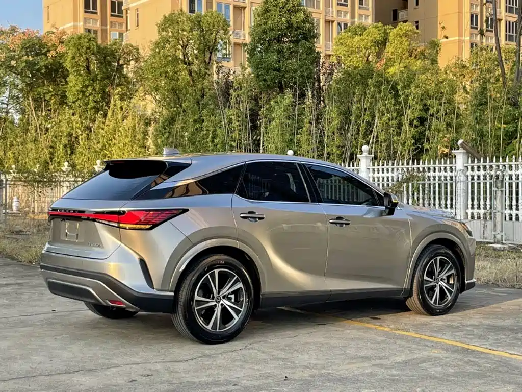 Фото 15 - Lexus RX
