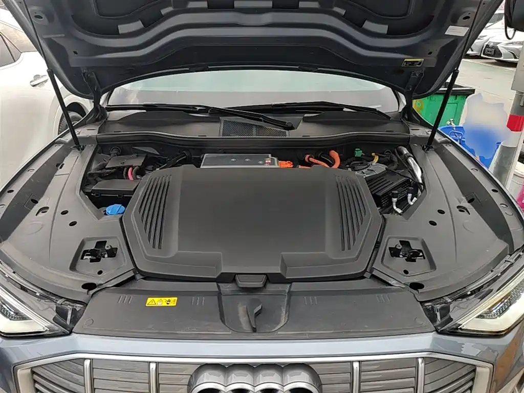 Фото 19 - Audi e-tron