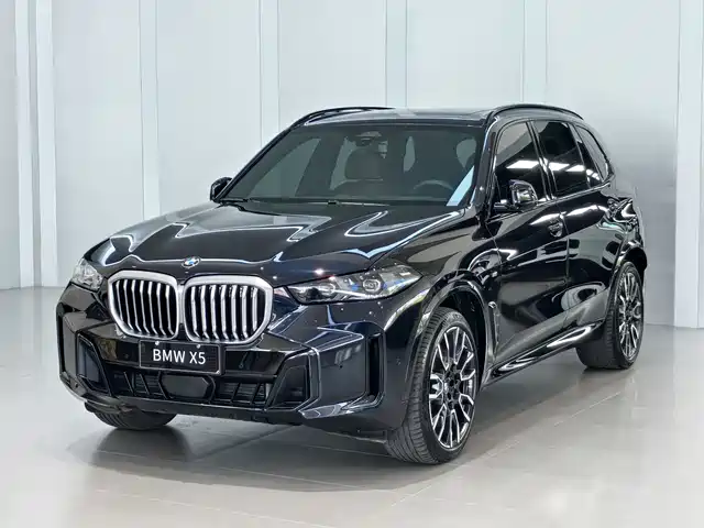 BMW X5 2023 xDrive 40Li M Sport Package — фото 1