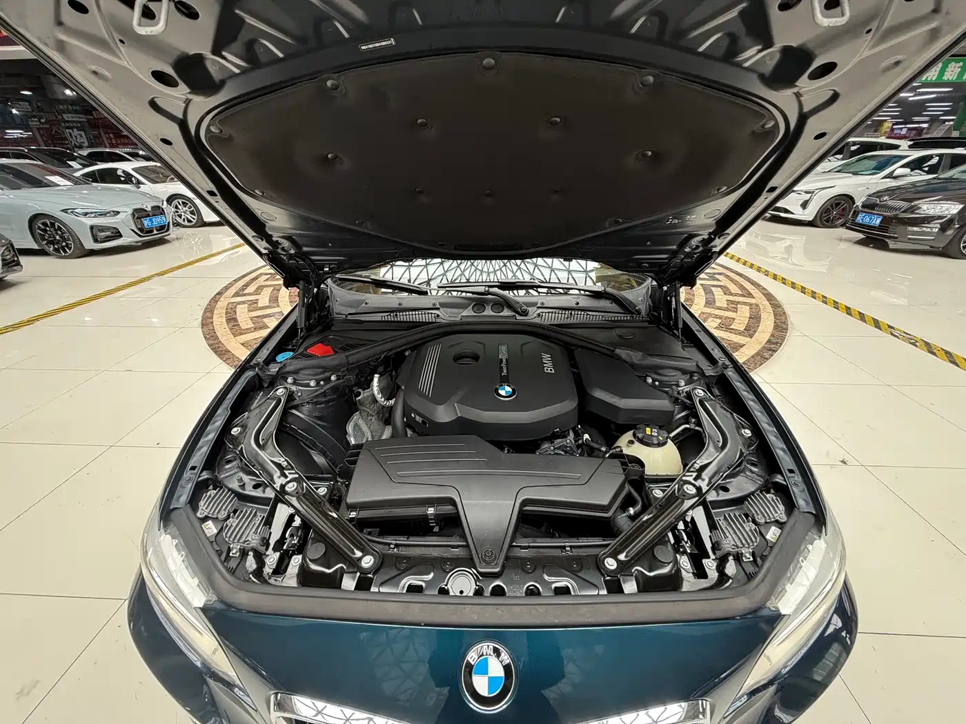 BMW 2 Series (Import) 2015 218i Convertible Coupe фото 15