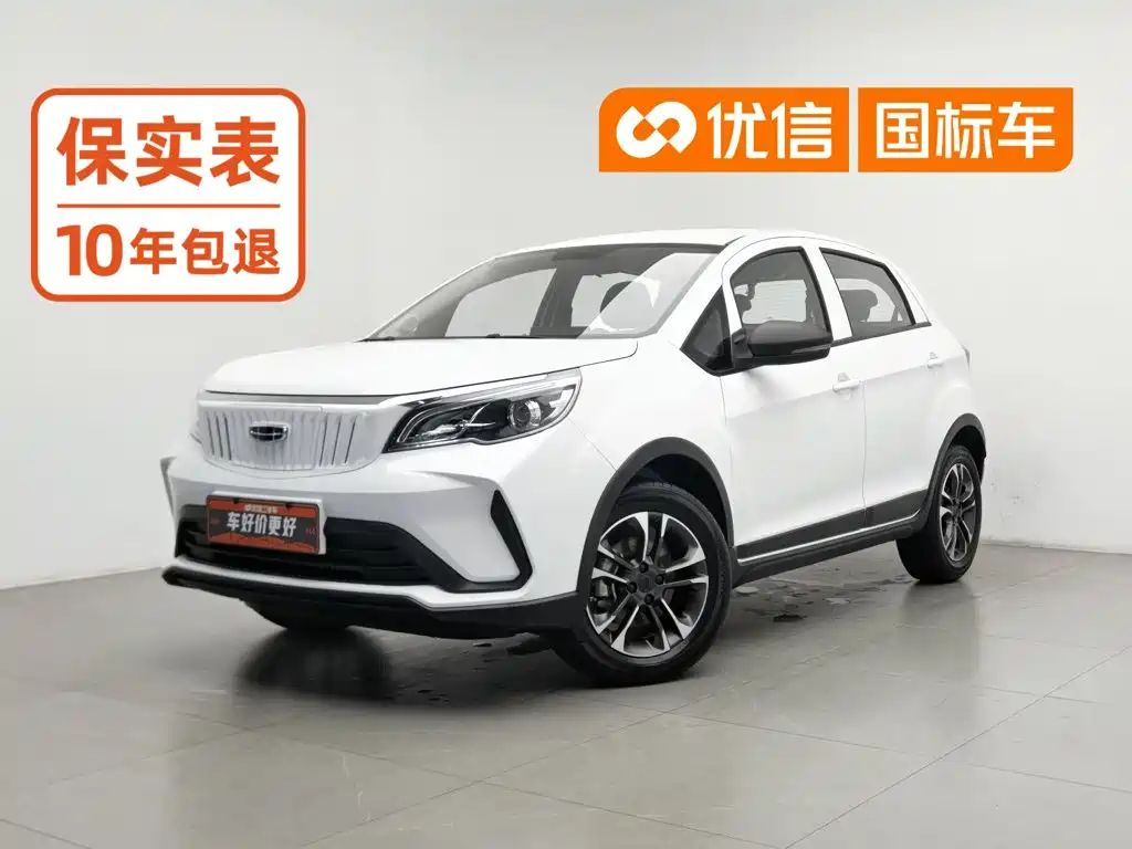 Geely Geometry EX3 Kung Fu Bull 2021 2021 Strong Bull
