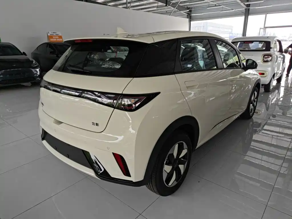 BYD Dolphin 2026 2025 420km Freedom Edition