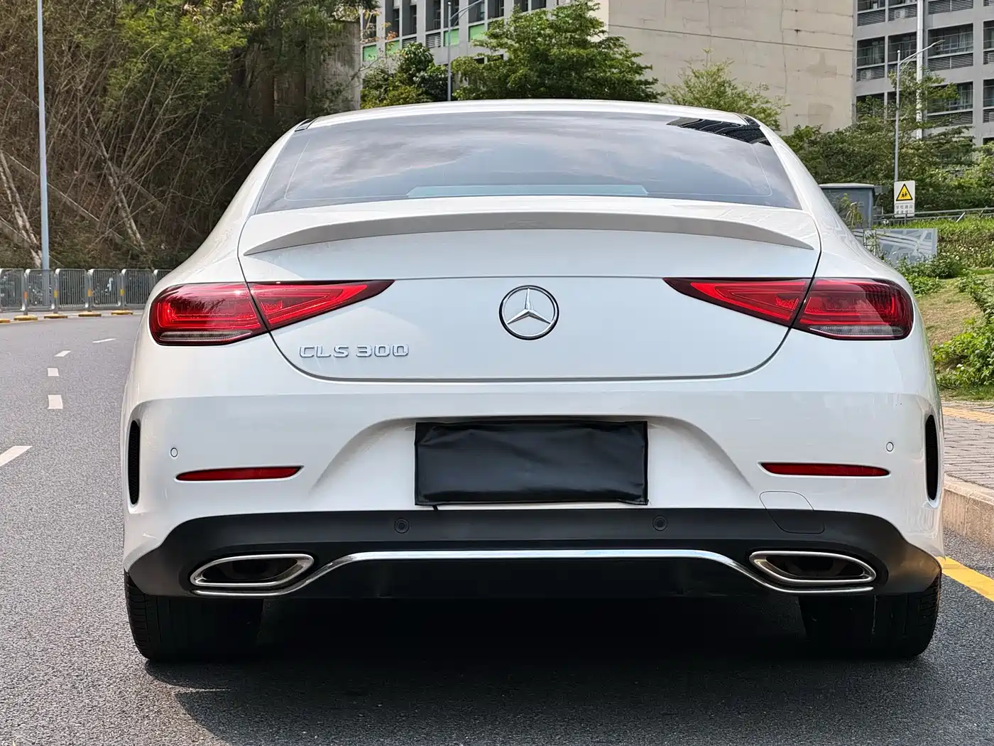 Mercedes-Benz CLS 2021 CLS 300 Luxury фото 13