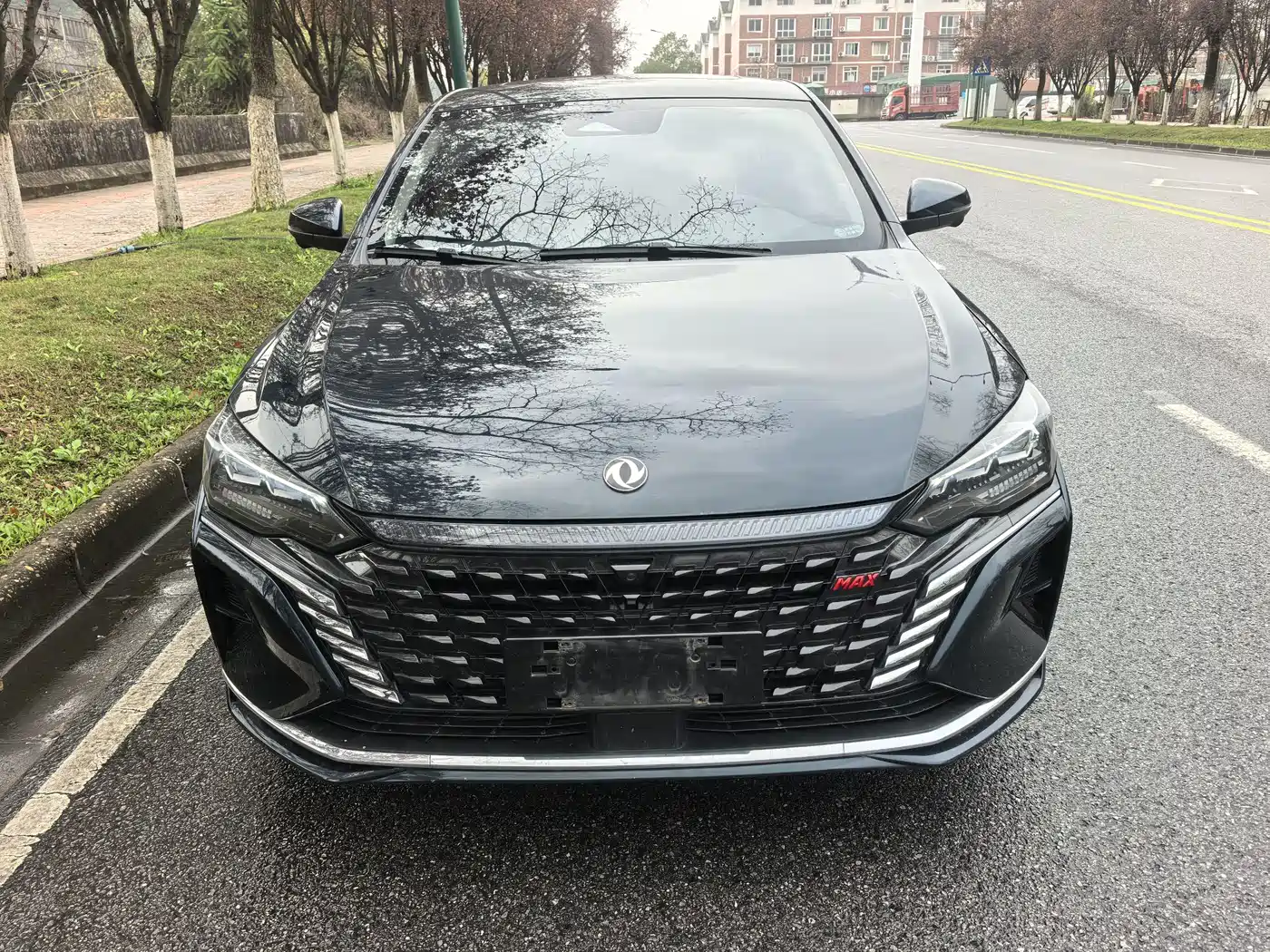 DONGFENG YI HYUN MAX