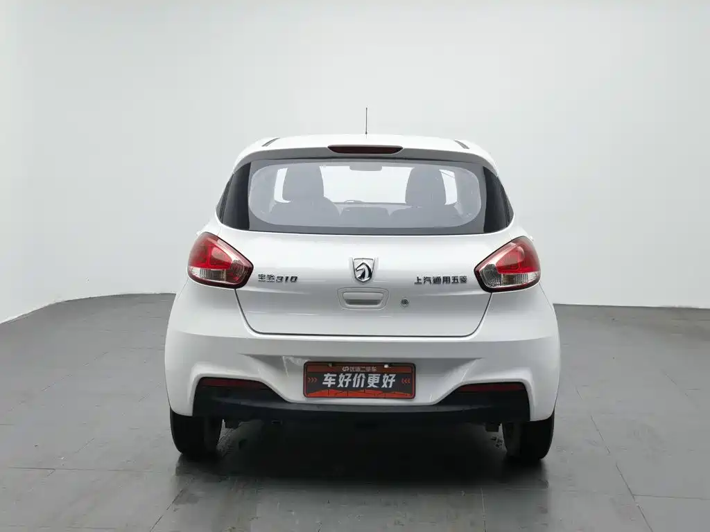 2021 Baojun 310