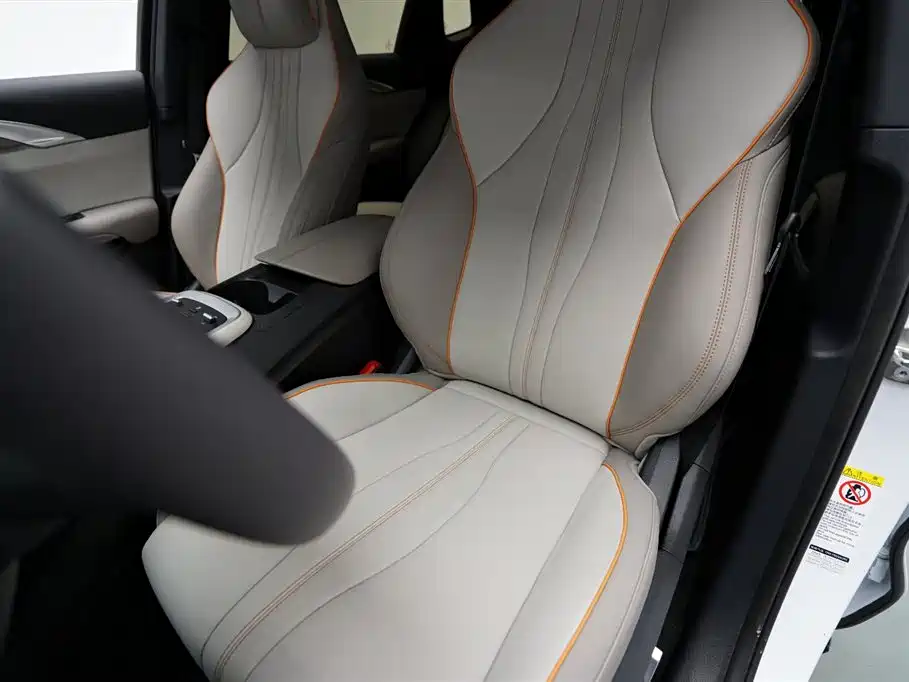 BYD Song Pro New Energy 2024 Glory Edition DM-i 71KM Pilot фото 4
