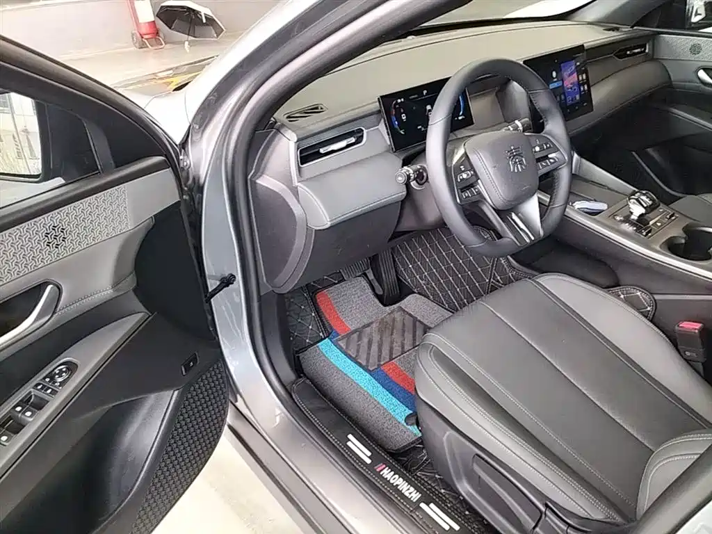 BYD Qin PLUS 2025 DM-i Smart Drive 55KM Leader фото 15