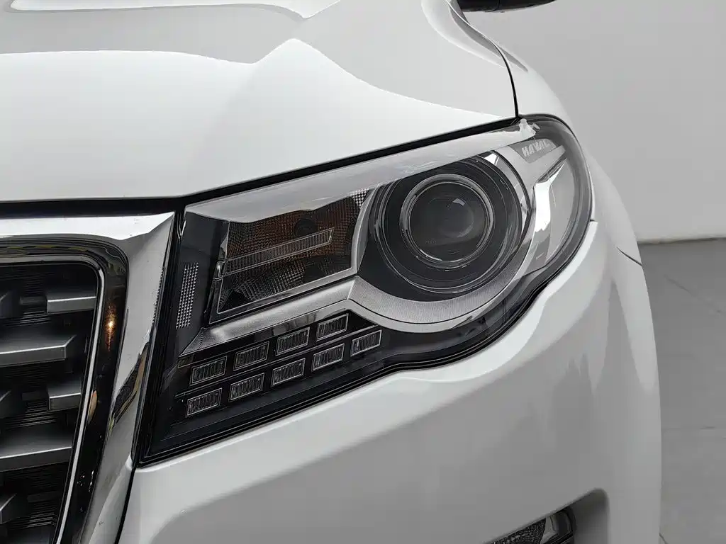 Haval H8 2018 2017 2.0T Gasoline 2WD Enjoyment