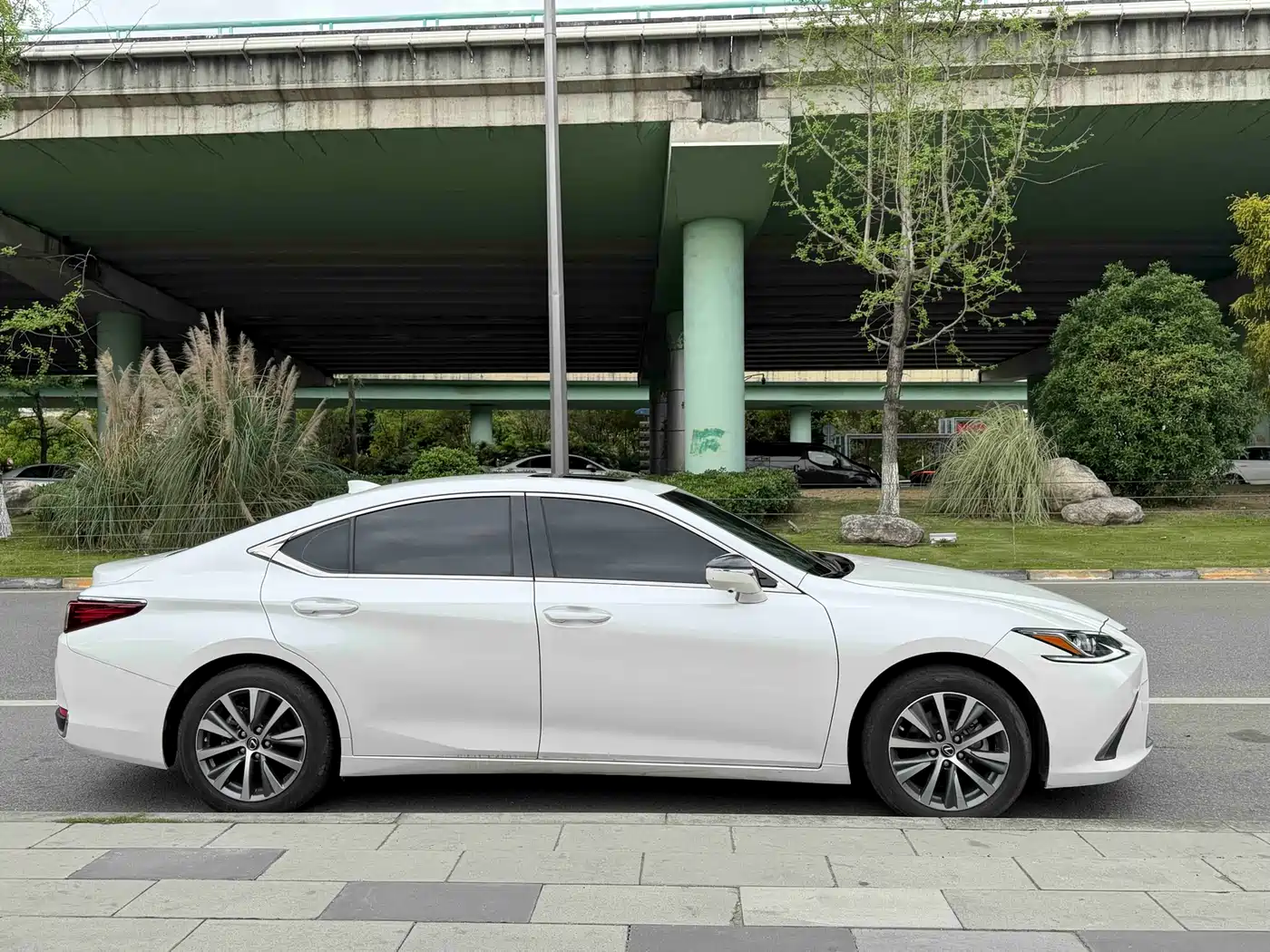 Lexus ES 2020 200 Excellence фото 4