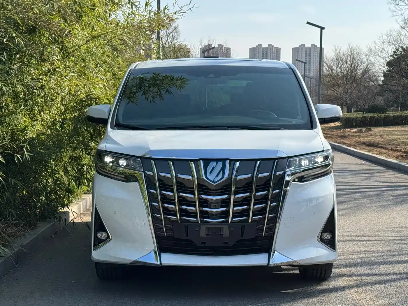 Toyota Alphard 2019 Hybrid 2.5L Premium Edition фото 2
