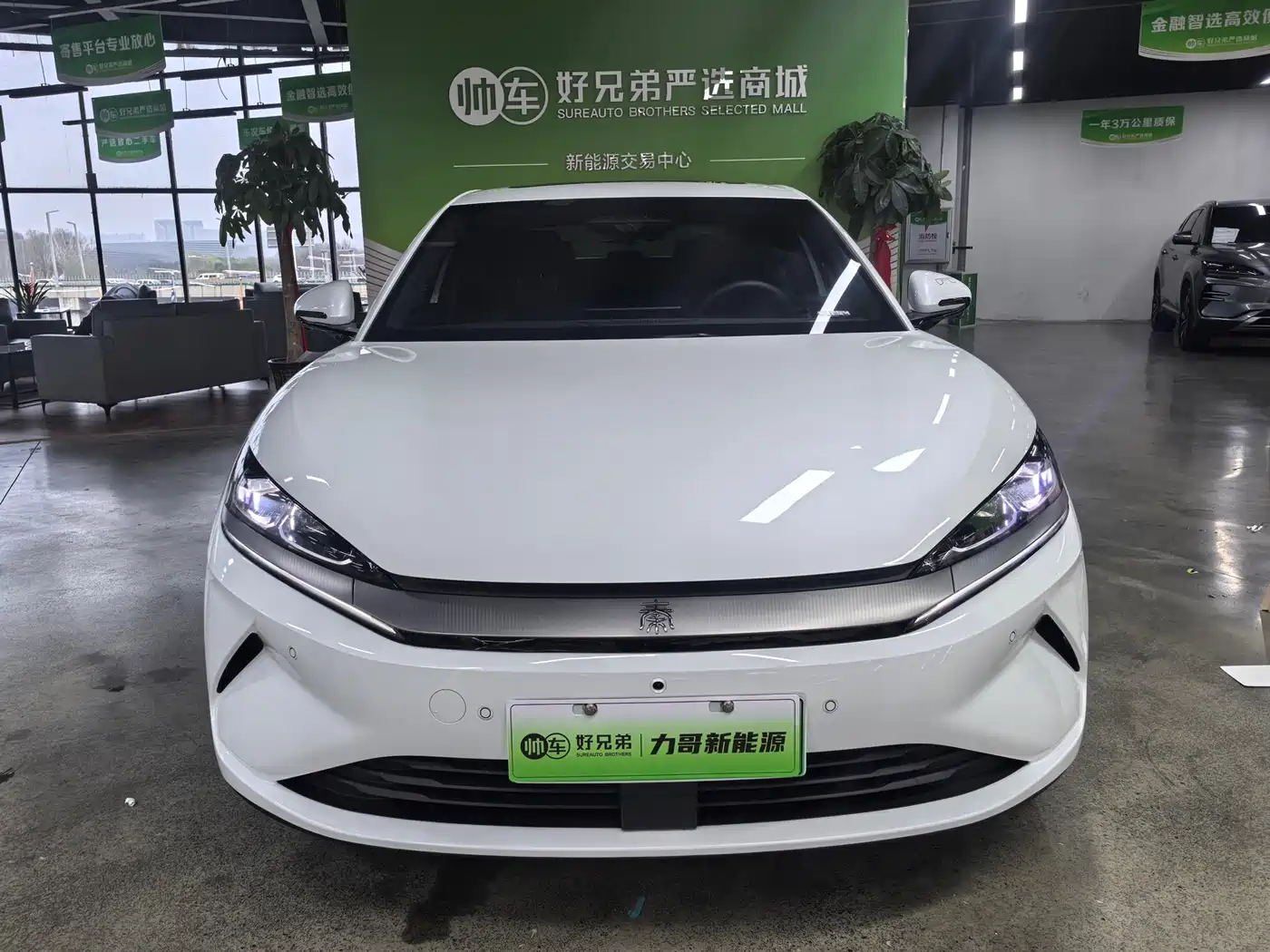 BYD QIN L