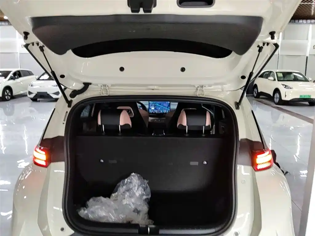BYD Seagull 2025 Smart Drive Edition 305km Freedom Version фото 19