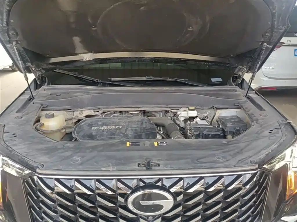 GAC Trumpchi Trumpchi GS8 2024 Navigator Series 2.0TGDI 2WD Luxury Smart Connect Edition фото 20
