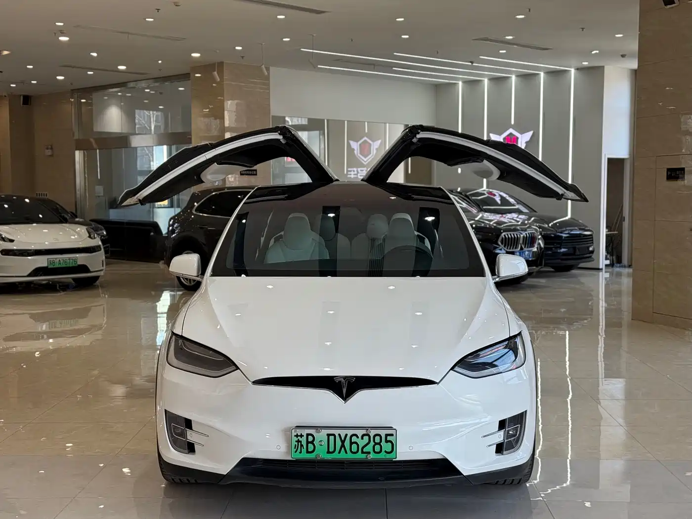 TESLA MODEL X