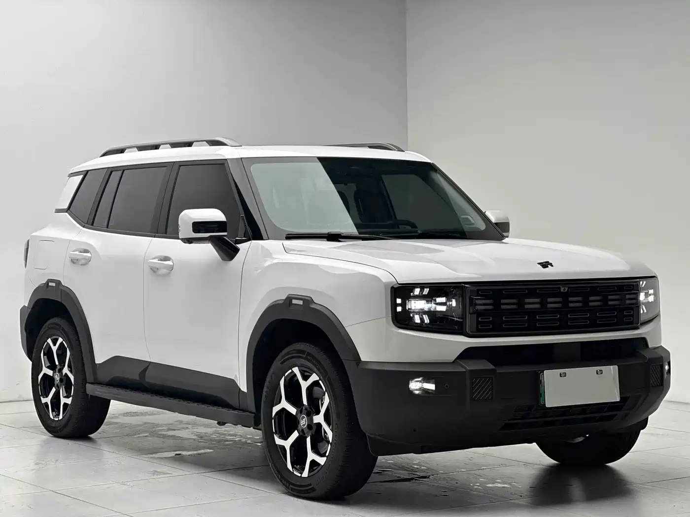 Jetour Shanhai T1 2025 2025 Model Year 226km Crosser