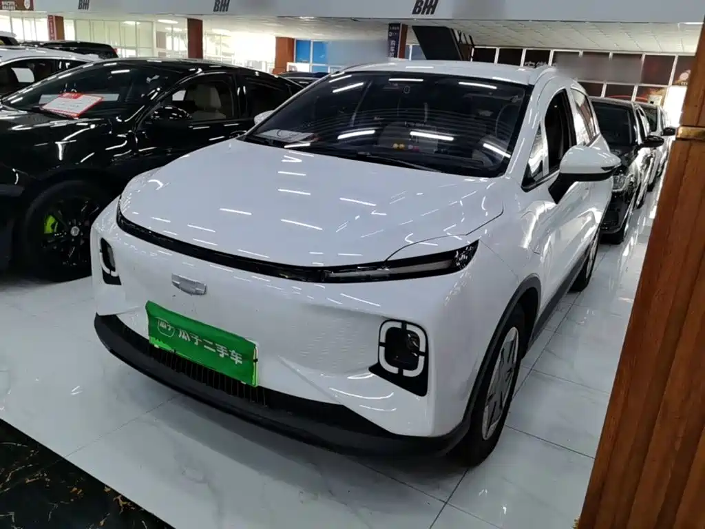 Geely Geometry E Firefly 2024 2024 401km Starlight