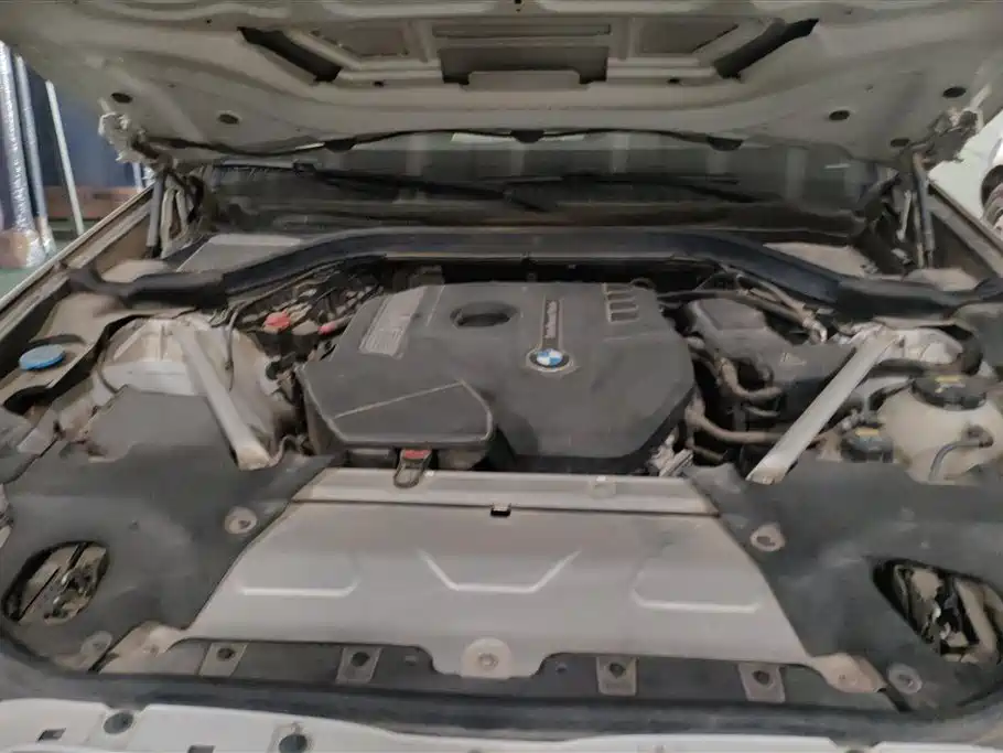 BMW X3 2018 xDrive25i Luxury Package China V фото 10