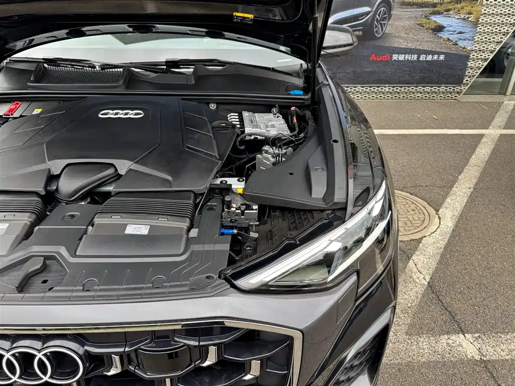 Audi Q8 2025 2024 55 TFSI Luxury Sport