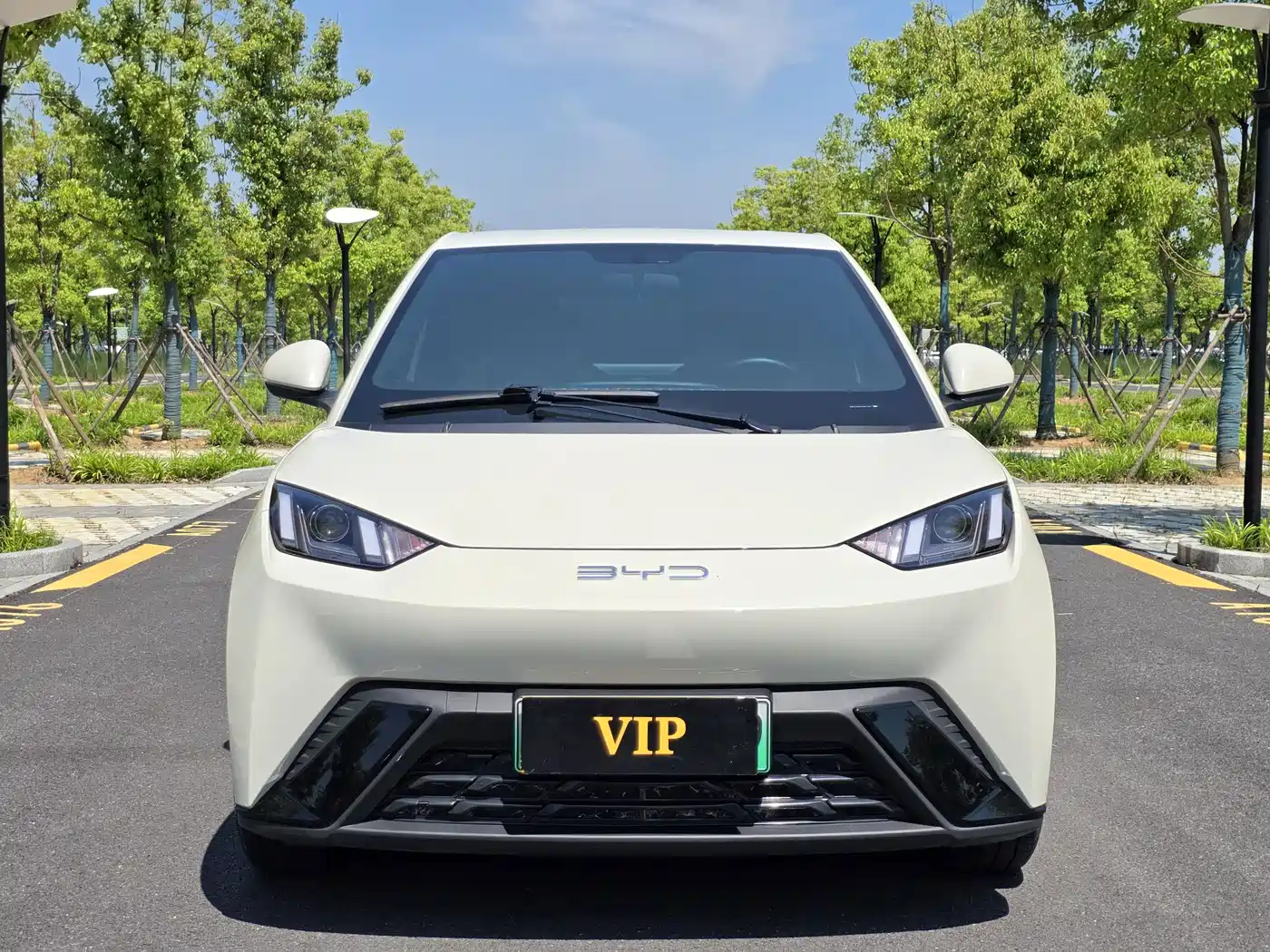 BYD Seagull 2023 Vitality Edition фото 2