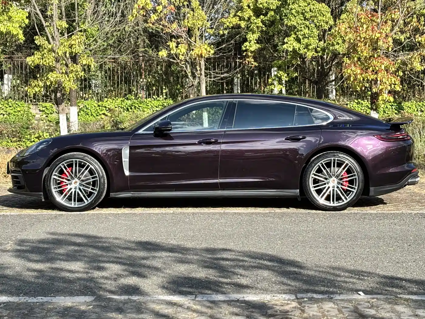 Porsche Panamera 2017 Panamera 4 Executive Long Wheelbase 3.0T фото 3