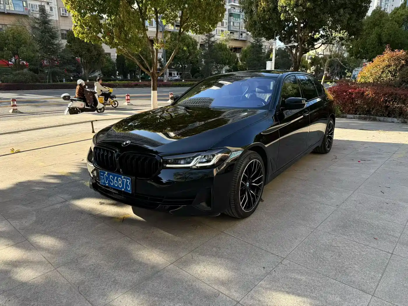 BMW 5 Series 2021 525Li Luxury Package