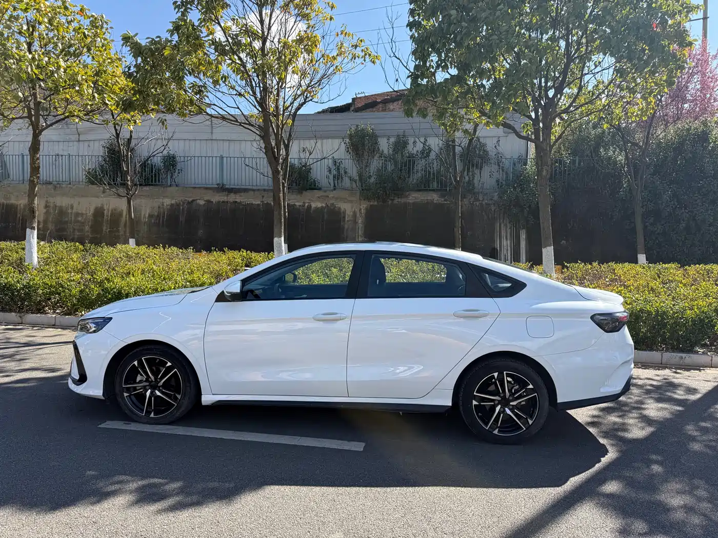 GEELY AUTOMOBILE BINRUI