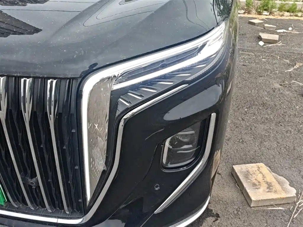 Hongqi HQ9 PHEV 2024 Model 2.0T AWD Business Edition фото 24