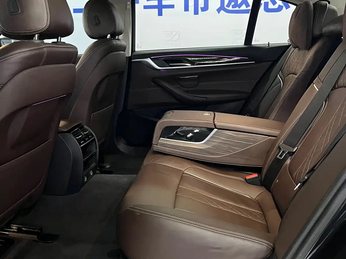 BMW 5 Series 2018 530Li xDrive Luxury Package фото 11