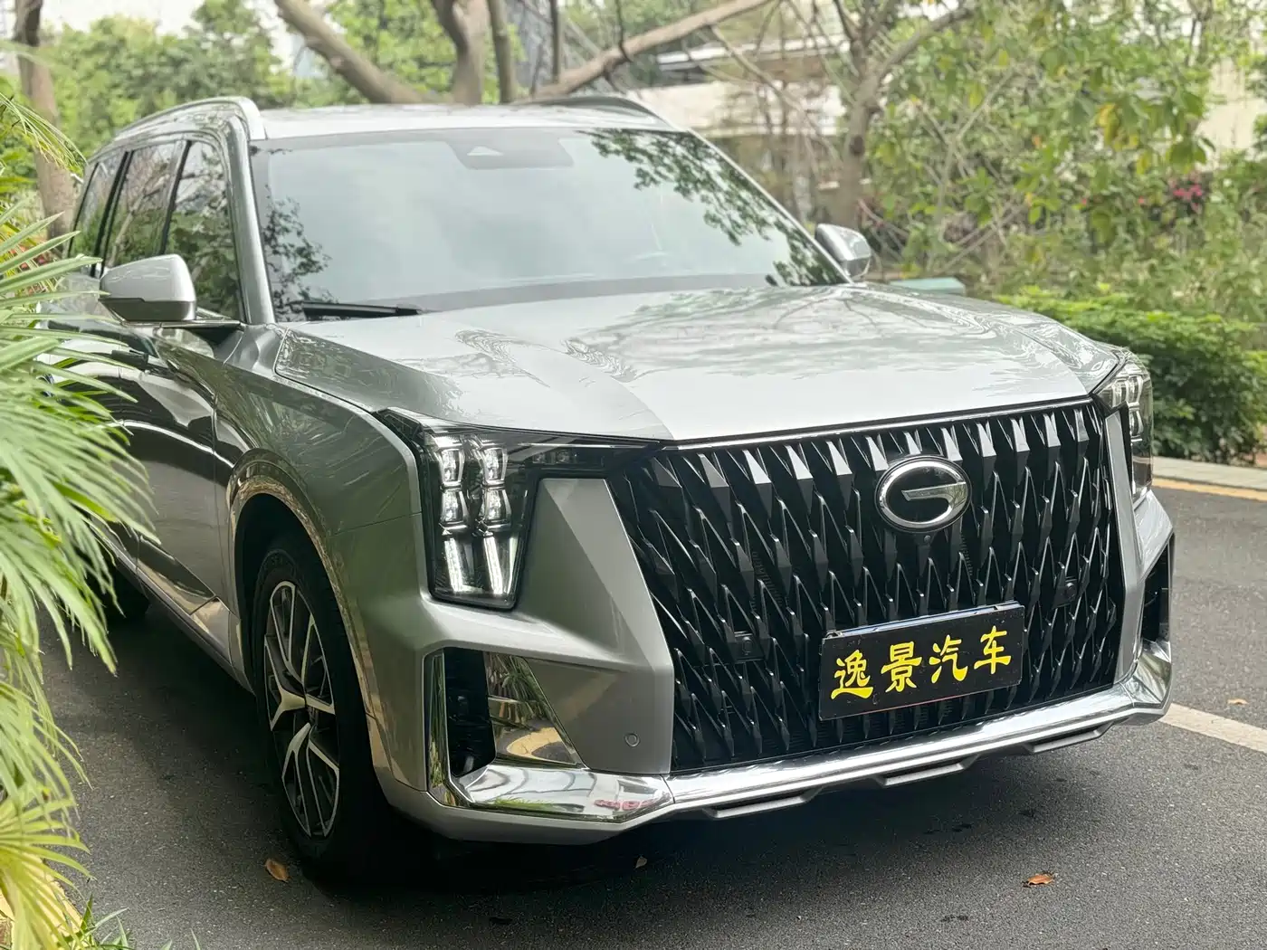 GAC Trumpchi Trumpchi GS8 2024 Dual Engine Series 2.0TM 4WD Premium Edition фото 3