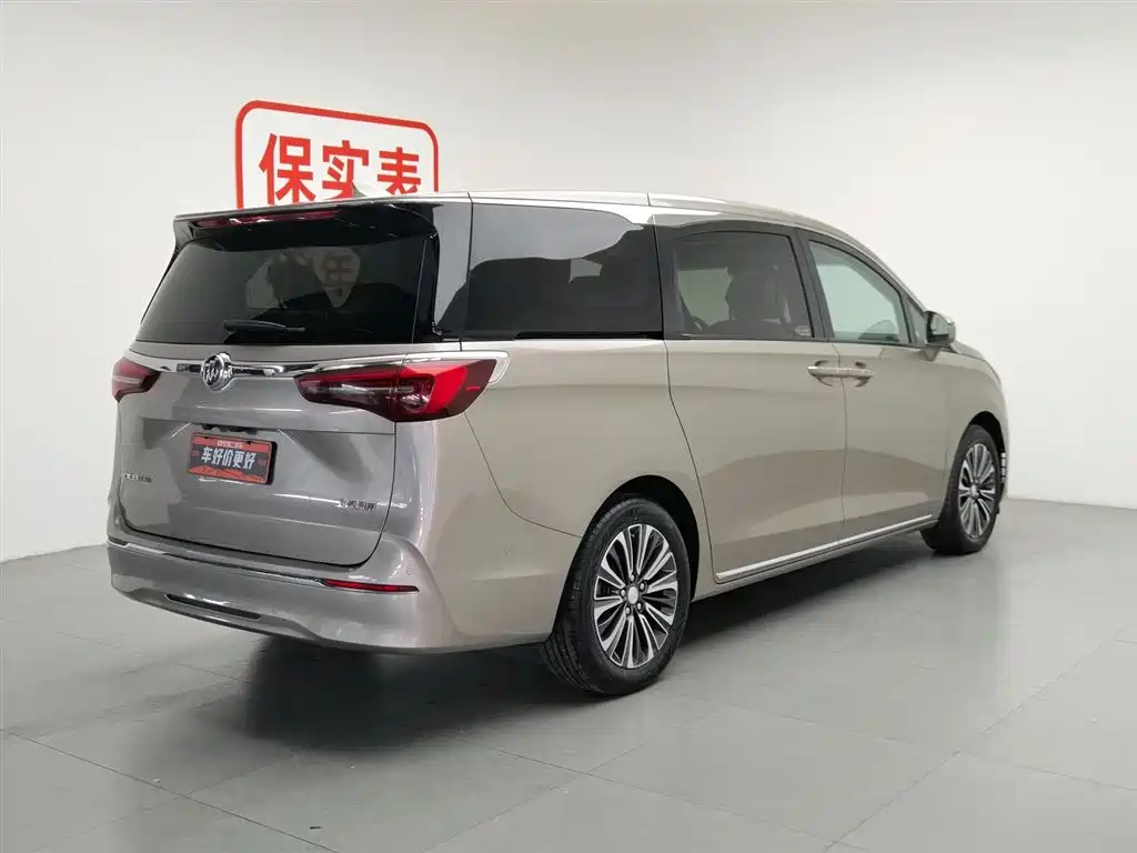 Buick GL8 2023 ES Landmaster Luxury фото 3