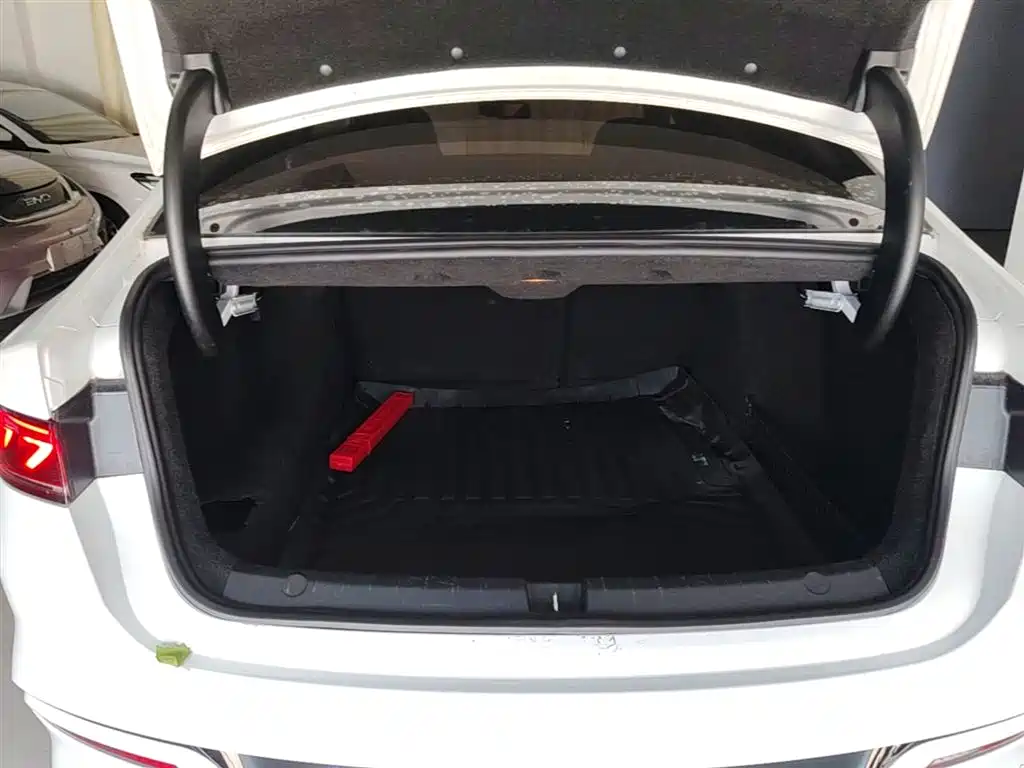 BYD Qin PLUS 2021 DM-i 55KM Flagship фото 19