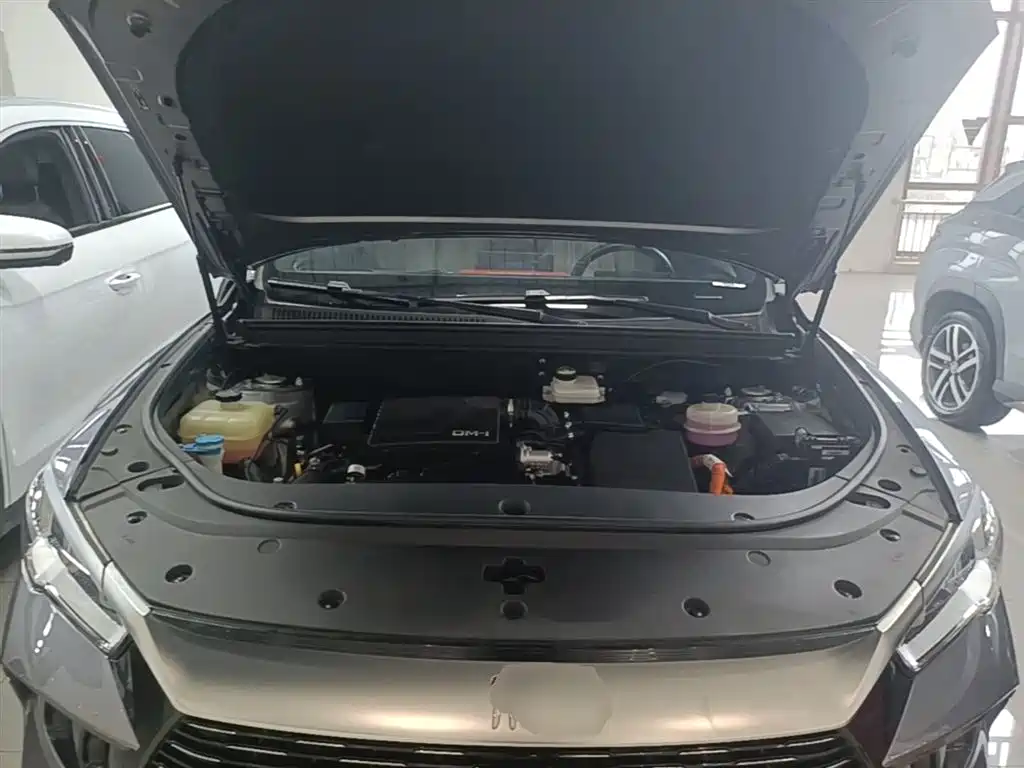 BYD SONGJIANG NEW ENERGY