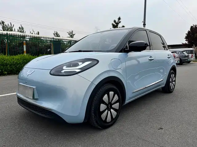 WULING WULING BINGGUO