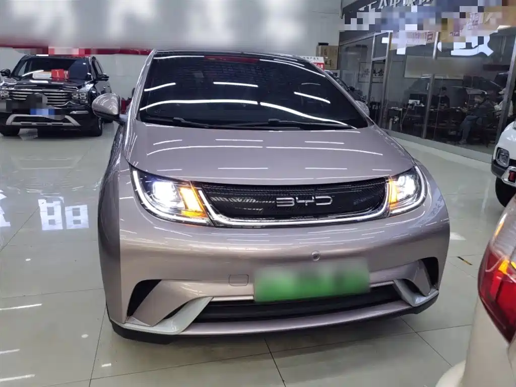BYD Dolphin 2021 Model 405km Fashion Edition фото 3