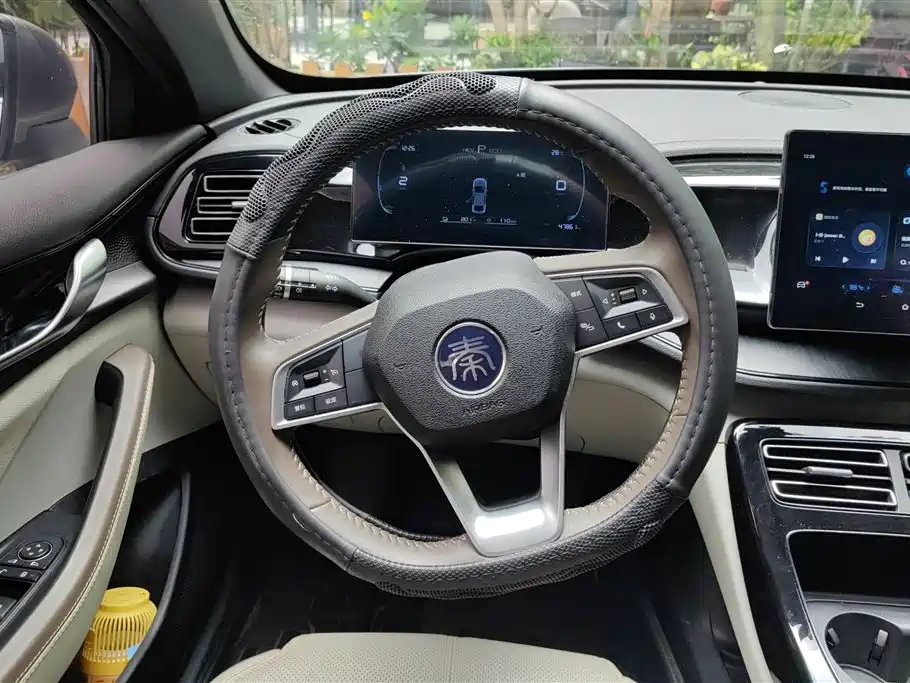 BYD Qin PLUS 2024 Glory Edition DM-i 55KM Leading фото 15