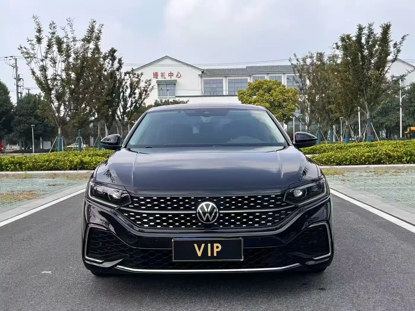 Volkswagen Passat 2022 330TSI Luxury Edition фото 3