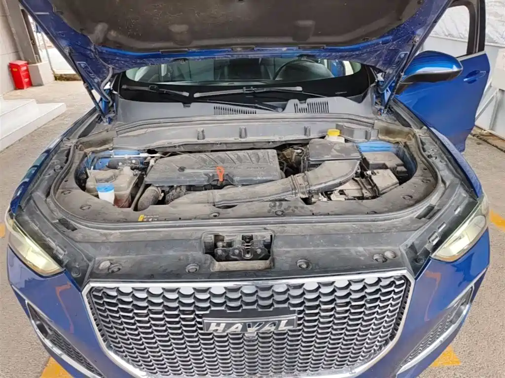 Haval F5 2019 National Trend Edition 1.5T iStyle China VI фото 20