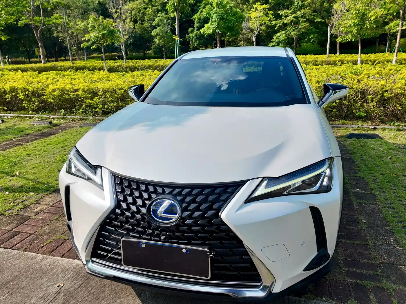 Lexus UX 2019 2019 260h Explorer Cool Edition (China V)