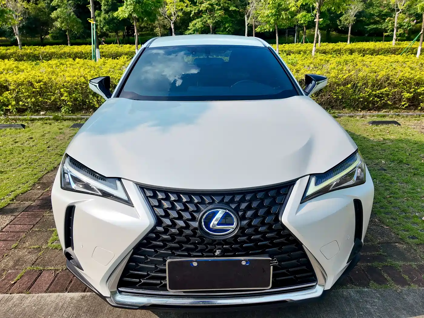 Lexus UX 2019 2019 260h Explorer Cool Edition (China V)