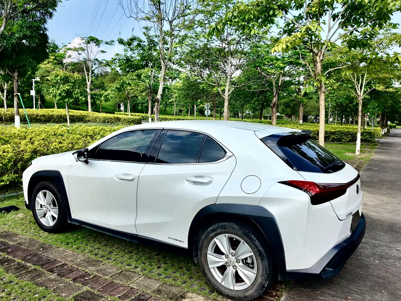 Lexus UX 2019 2019 260h Explorer Cool Edition (China V)