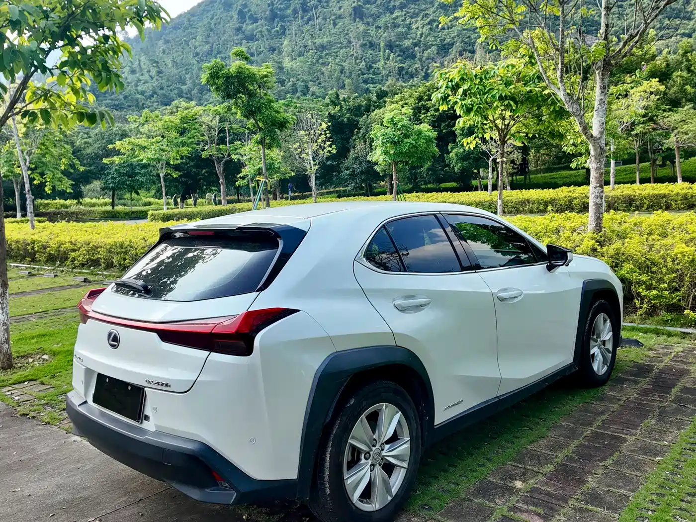 Lexus UX 2019 2019 260h Explorer Cool Edition (China V)