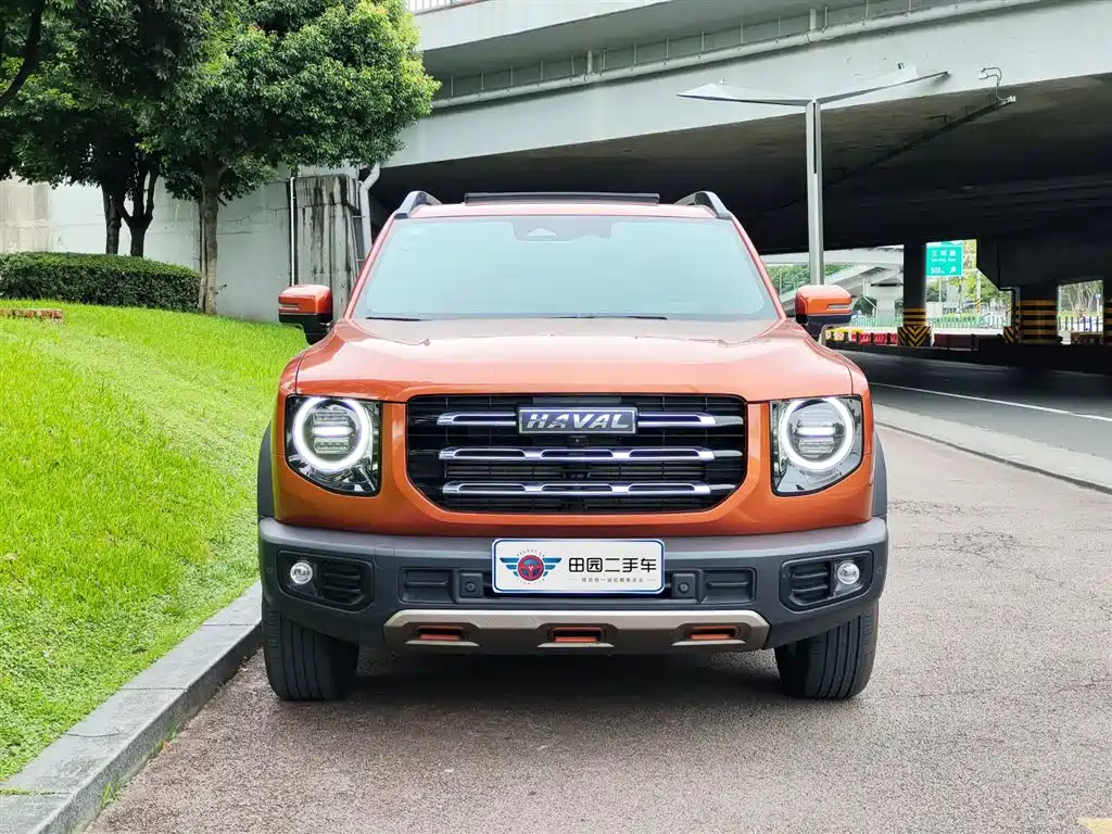 HAVAL BIG DOG