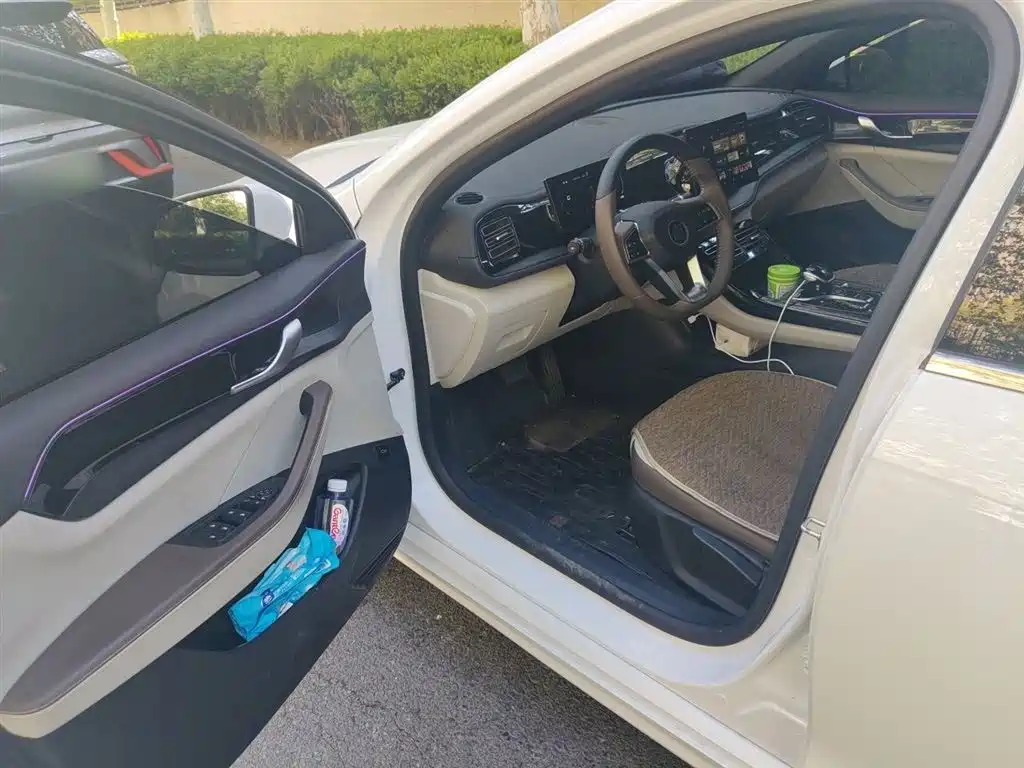 BYD Qin PLUS 2023 Champion Edition DM-i 55KM Leading фото 14