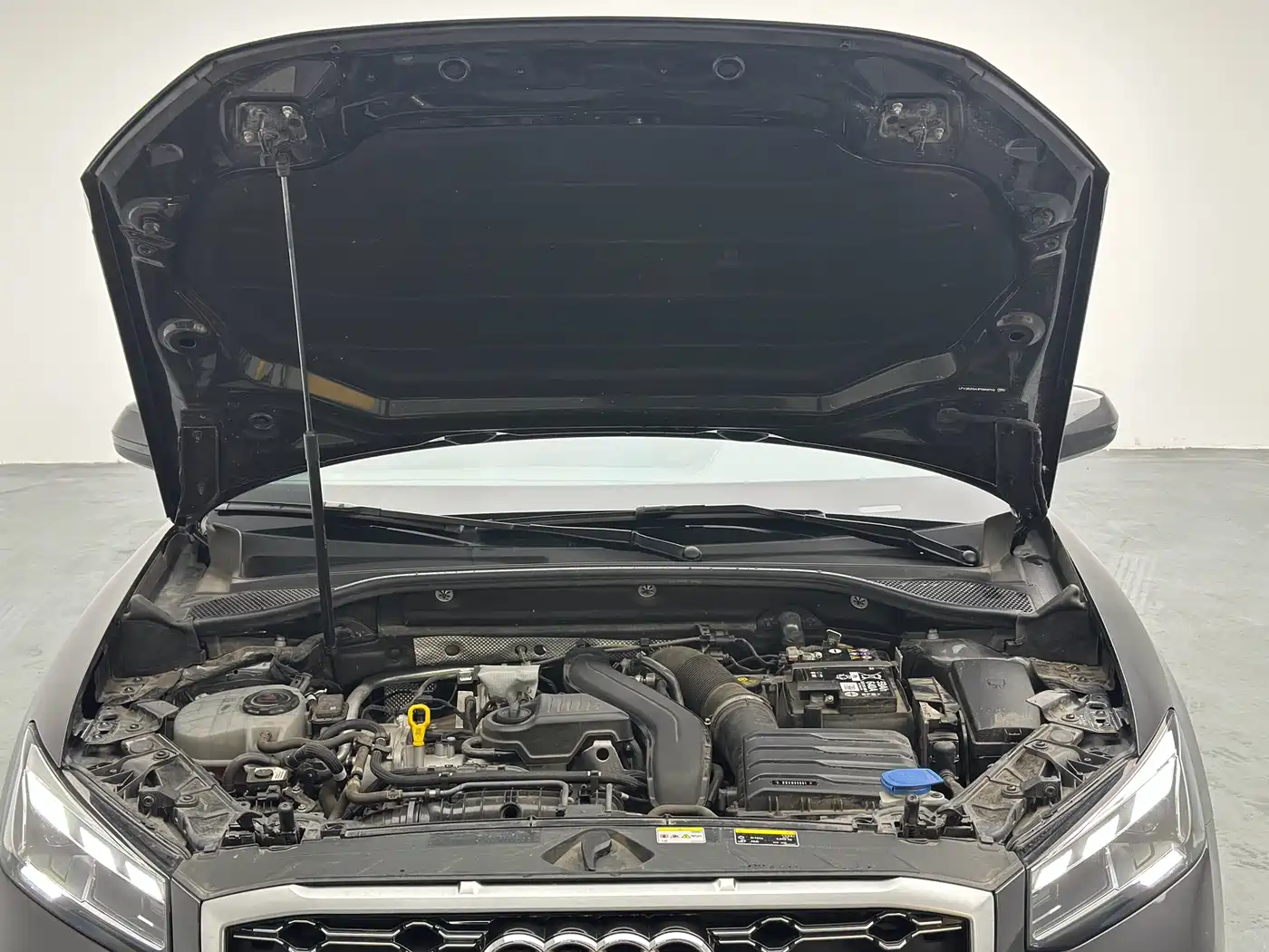Audi Q2L 2024 2023 35TFSI Fashion Sport