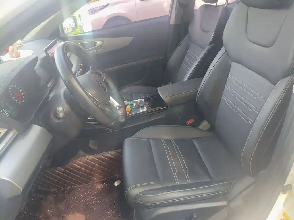 BYD Qin New Energy 2020 2019 Long Range Edition Premium