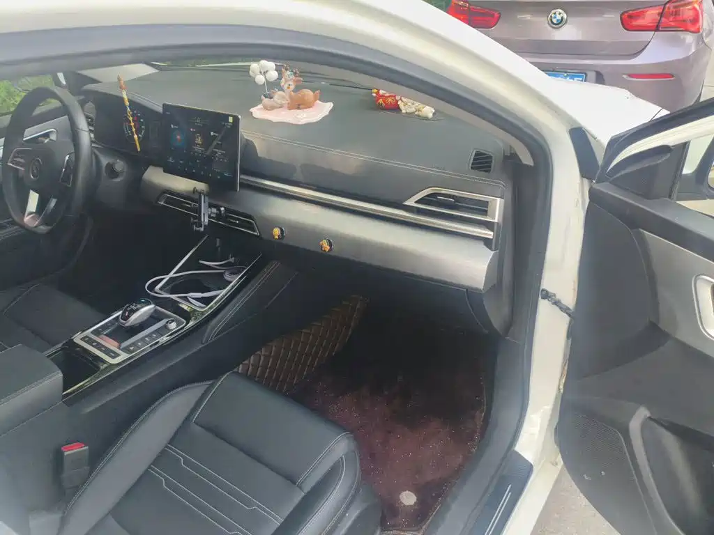 BYD Qin New Energy 2020 2019 Long Range Edition Premium