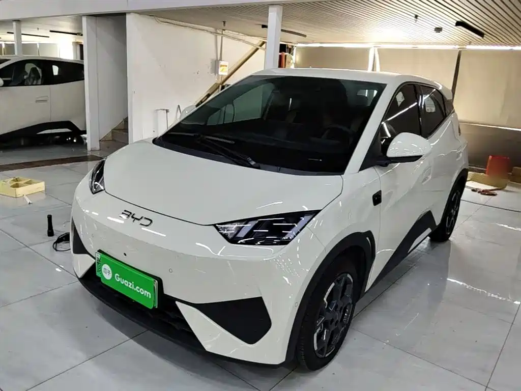 BYD Seagull 2025 Smart Drive Edition 305km Freedom Version фото 2