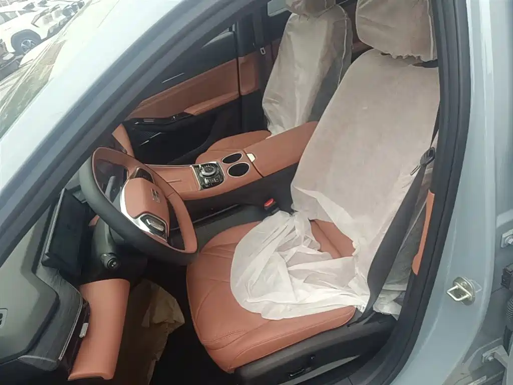 Geely Galaxy Galaxy L6 2025 EM-i 140km Explorer+ Edition фото 15