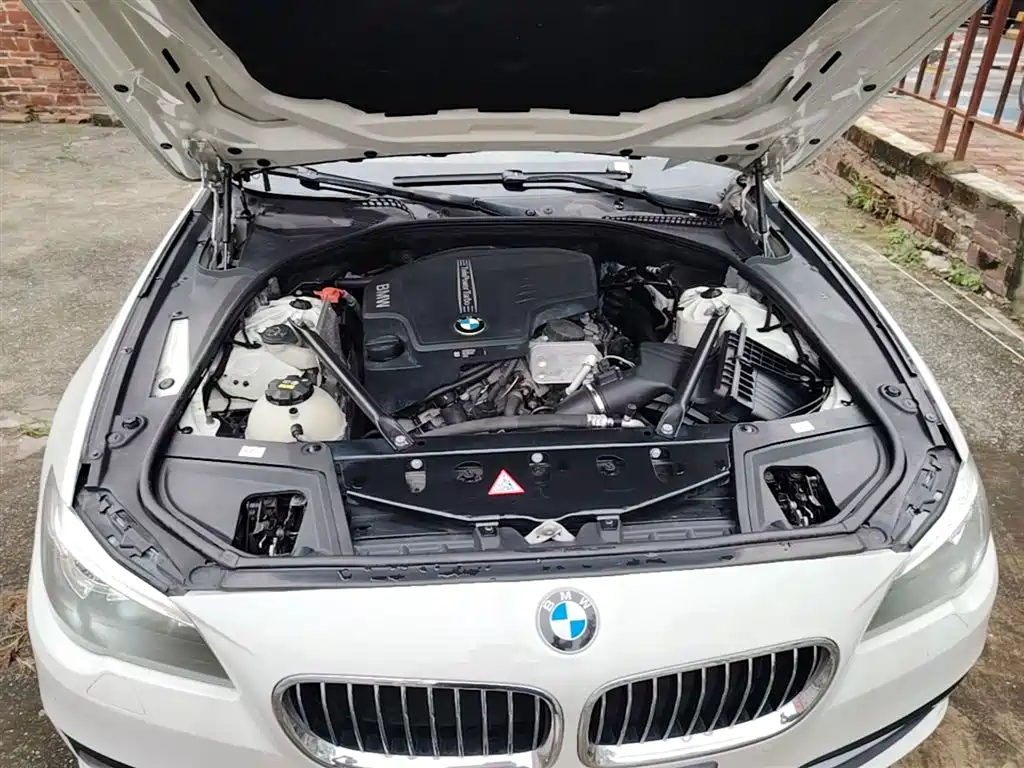 BMW 5 Series 2014 525Li Leading фото 20