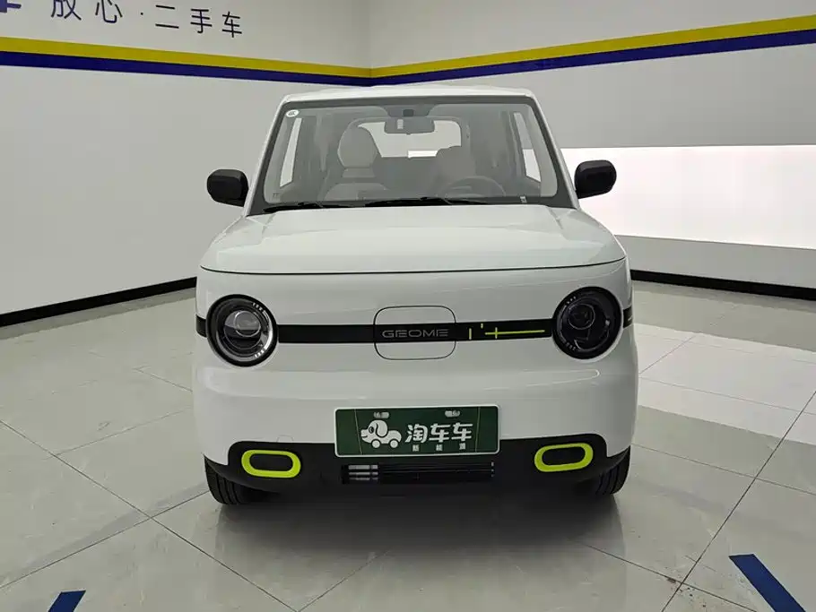 Geely Galaxy Panda 2026 2025 Panda mini 210km Vitality Bear